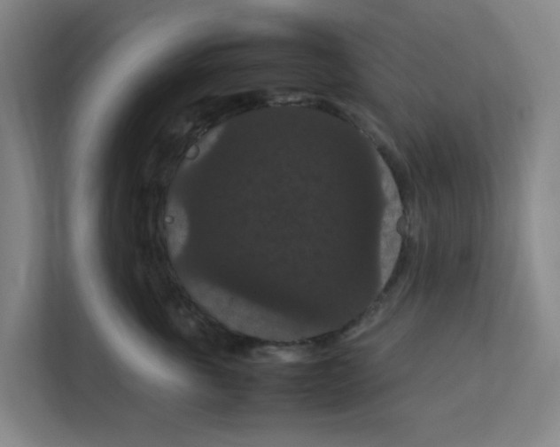 X0000111860763200908201257