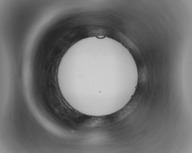 X0000111860764200908201257