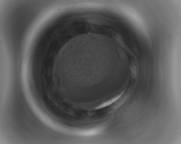 X0000111860766200908201257