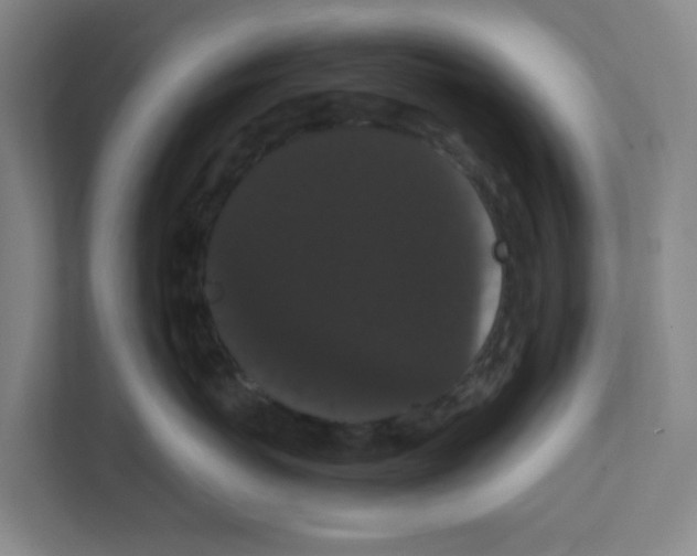 X0000111860767200908201257