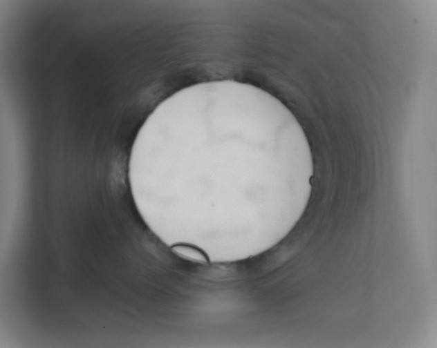 X0000111860768200908201257