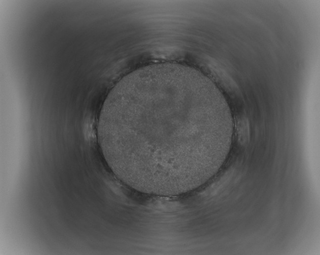 X0000111860770200908201257