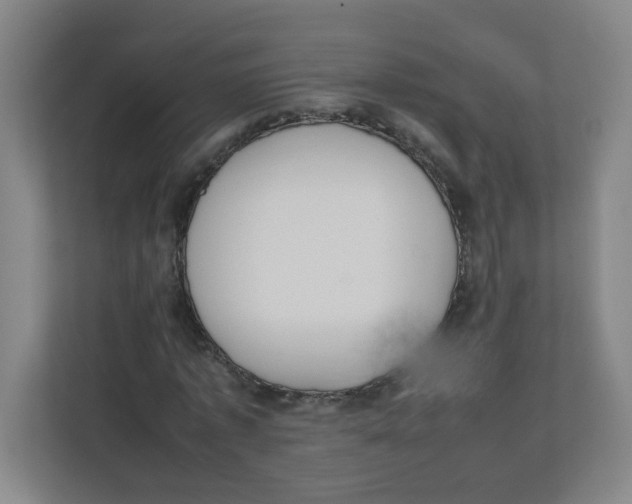 X0000111860773200908201257