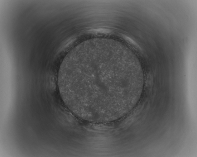 X0000111860774200908201257