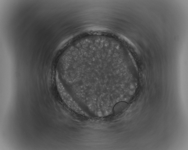 X0000111860775200908201257