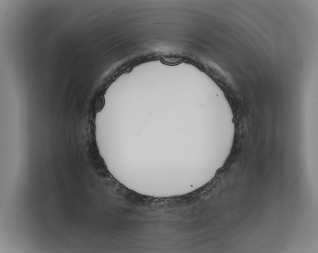X0000111860776200908201257