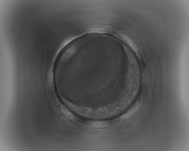 X0000111860779200908201257