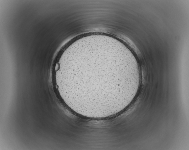 X0000111860780200908201257