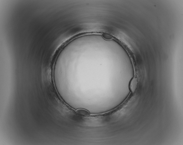 X0000111860781200908201257