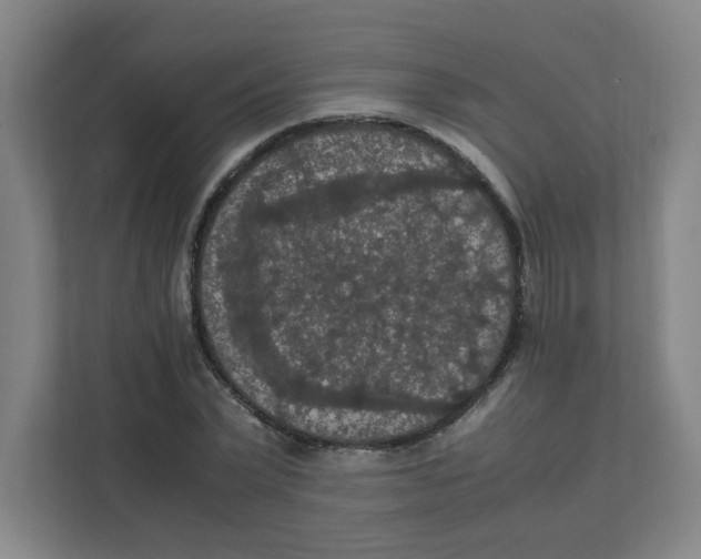 X0000111860783200908201256