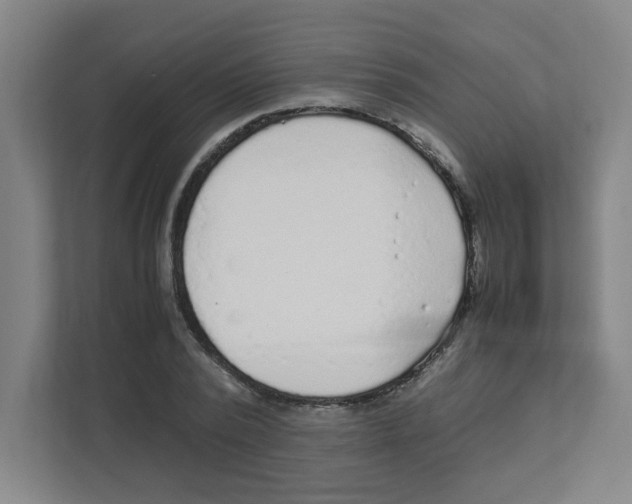 X0000111860784200908201256