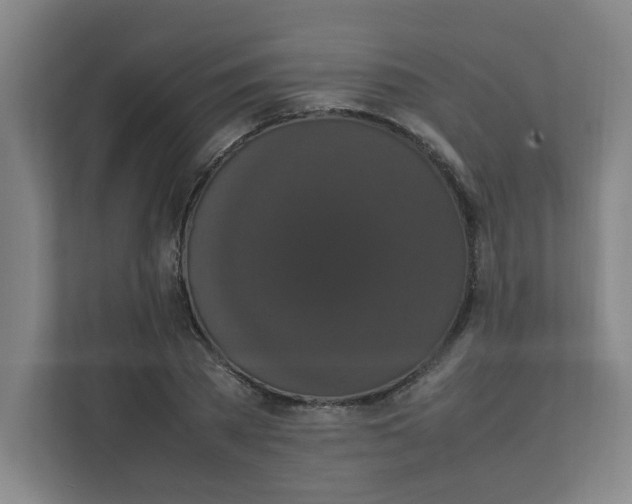 X0000111860785200908201256