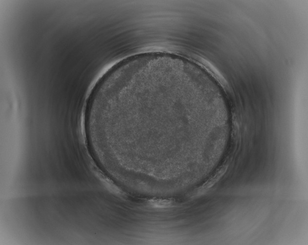 X0000111860788200908201256