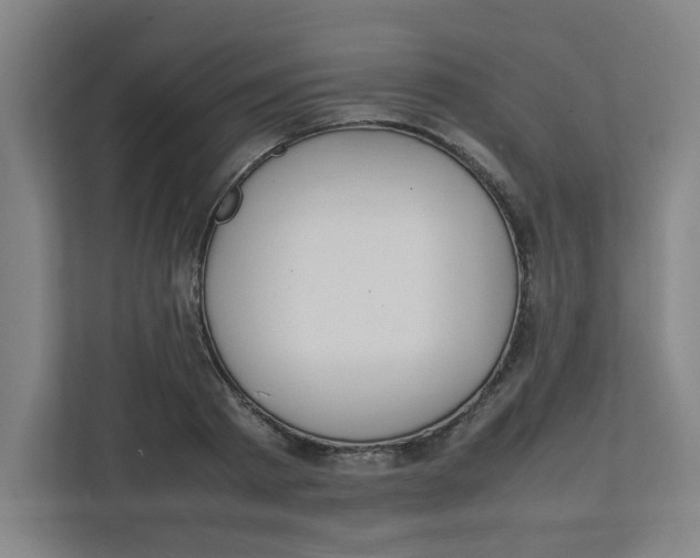X0000111860793200908201256