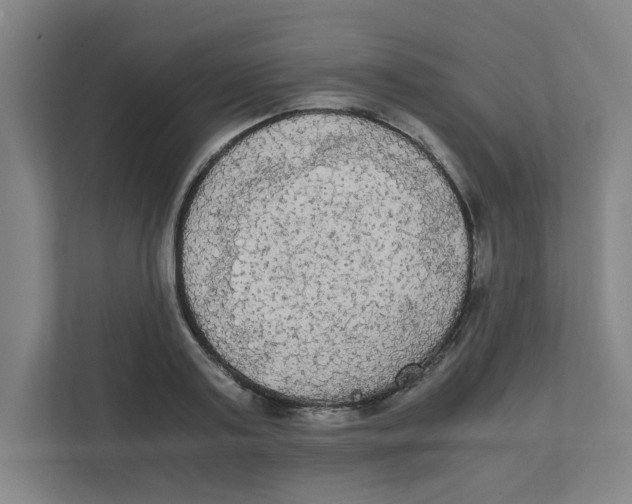 X0000111860795200908201256
