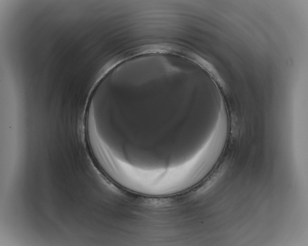 X0000111860802200908201256