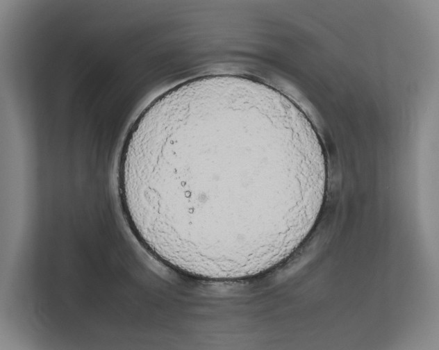 X0000111860803200908201256