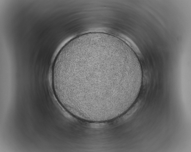 X0000111860804200908201256