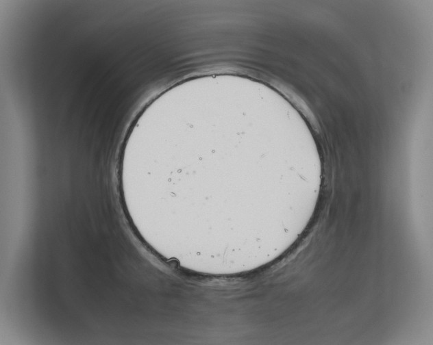 X0000111860805200908201256