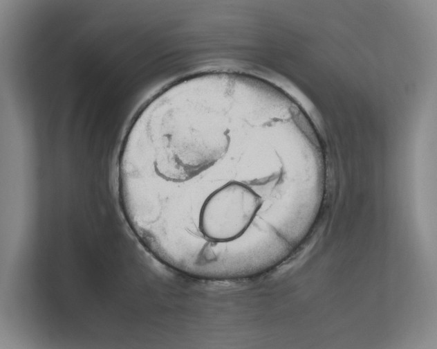 X0000111860807200908201256