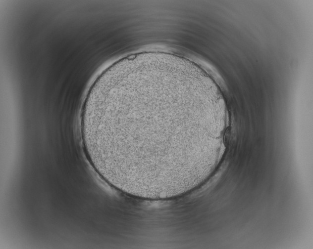 X0000111860808200908201256