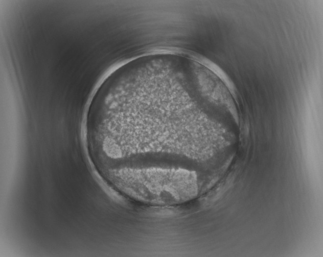 X0000111860811200908201256
