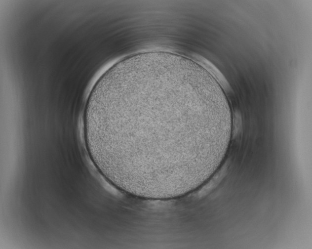 X0000111860812200908201256
