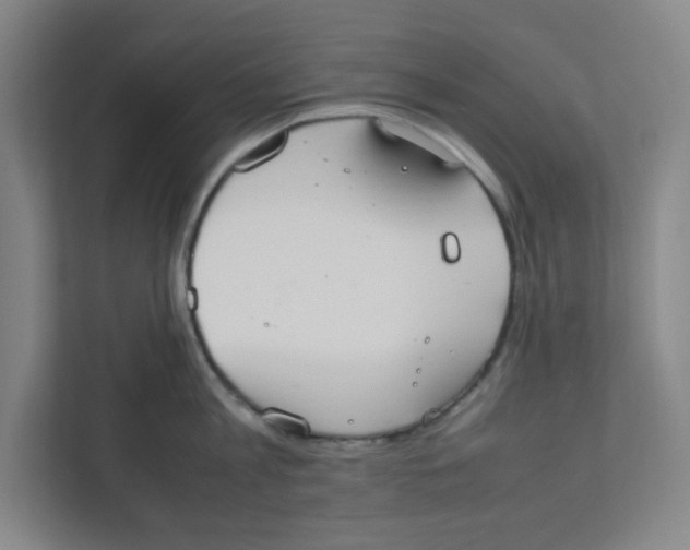 X0000111860813200908201256