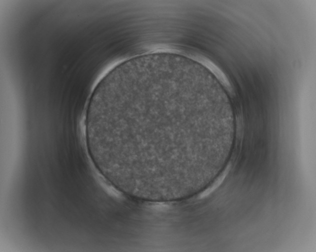 X0000111860814200908201256
