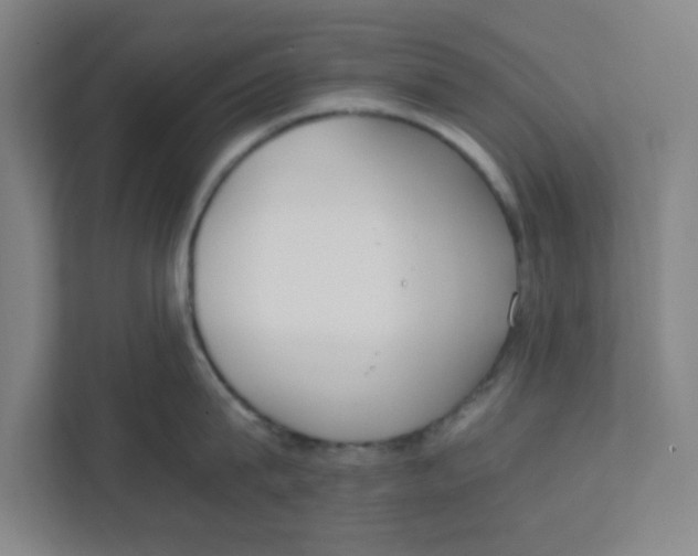 X0000111860815200908201256
