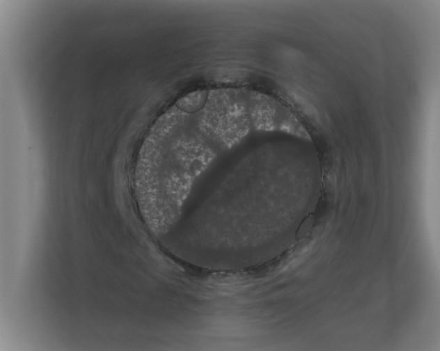 X0000111860817200908201255