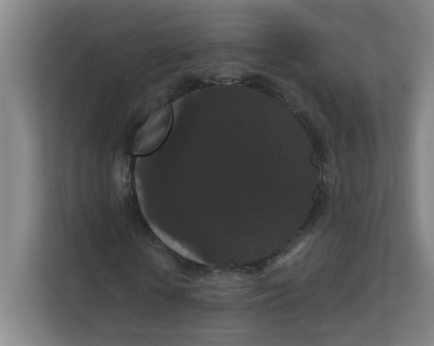 X0000111860818200908201255