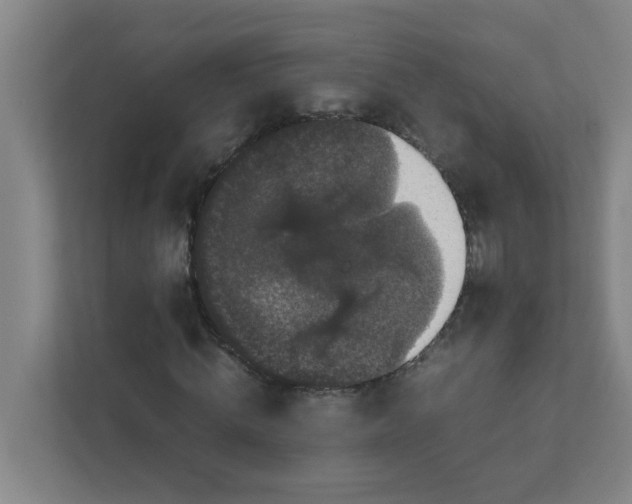 X0000111860820200908201255