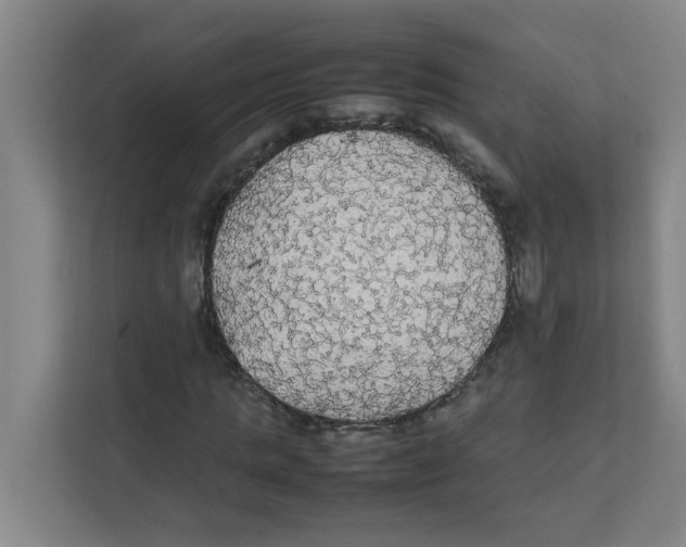 X0000111860821200908201255