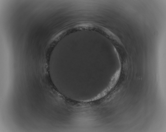X0000111860822200908201255