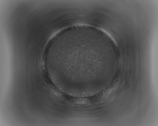 X0000111860823200908201255