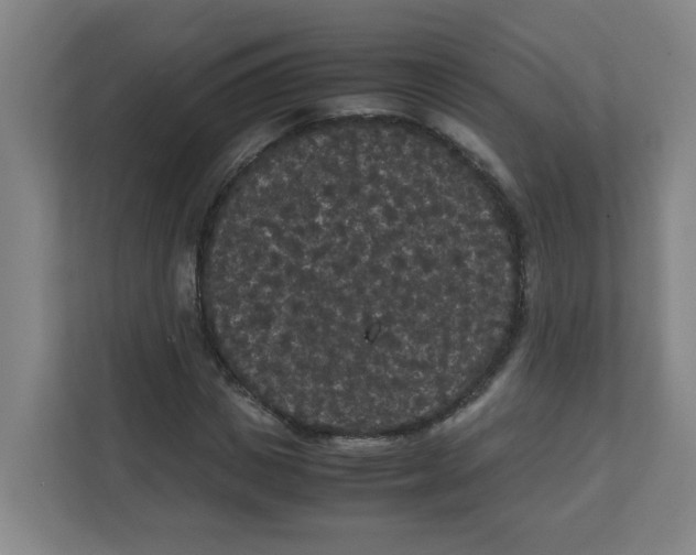 X0000111860825200908201256