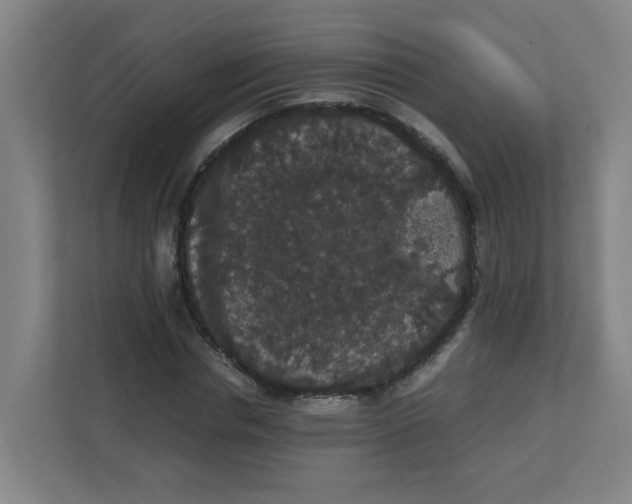 X0000111860826200908201256