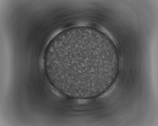X0000111860827200908201256