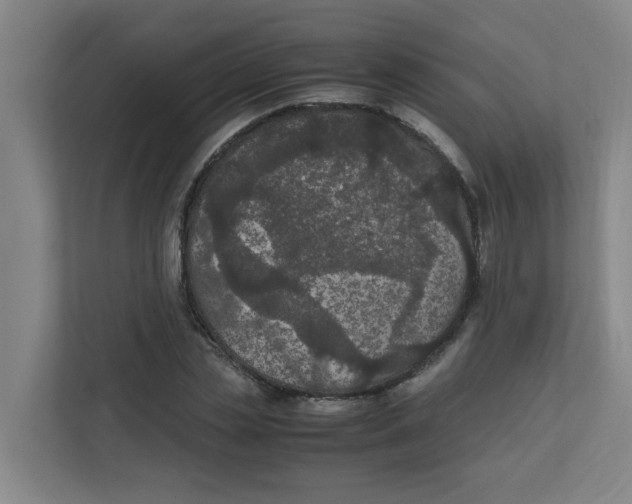 X0000111860829200908201256
