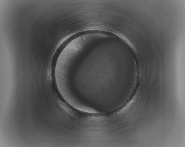 X0000111860830200908201256