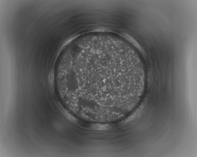 X0000111860831200908201256