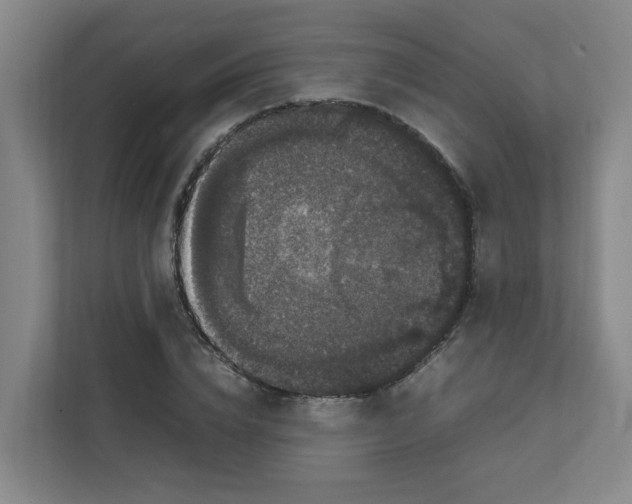 X0000111860832200908201256