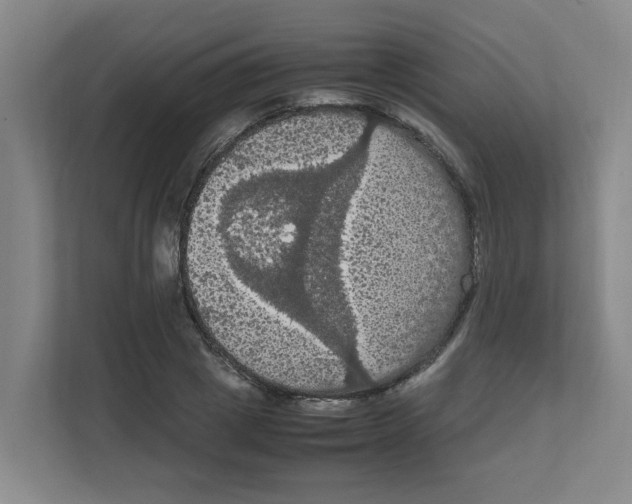 X0000111860833200908201256
