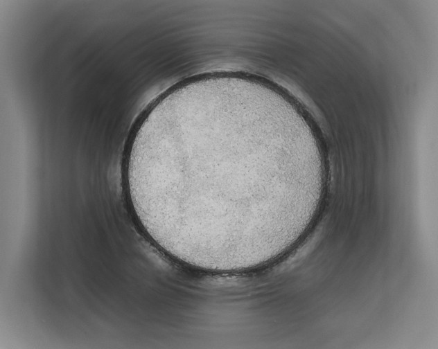 X0000111860834200908201256