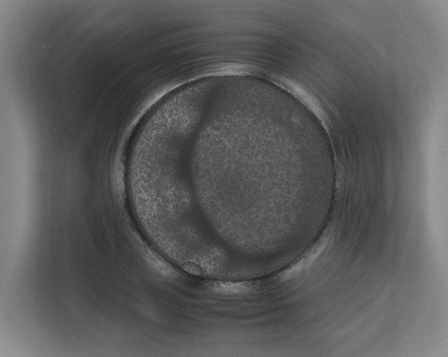 X0000111860835200908201256