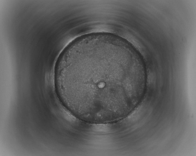 X0000111860836200908201256