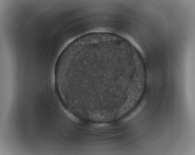 X0000111860837200908201256