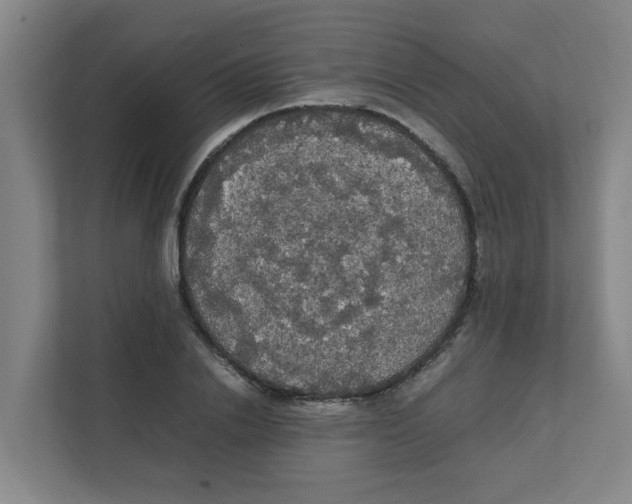 X0000111860838200908201256