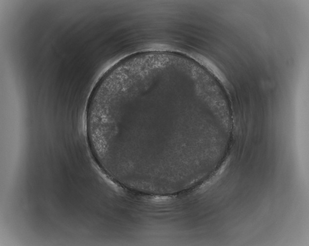 X0000111860839200908201256